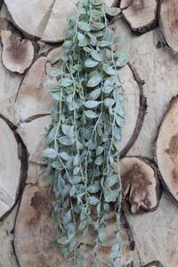 Zelená umelá rastlina aeschynanthus 80cm