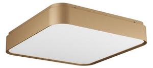 REDO 01-2577 YOMO stropné svietidlo 396x396mm LED 47W/2795lm 3000K zlatá, switchdimmer