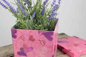 Ružová darčeková krabica so srdiečkami 12cm