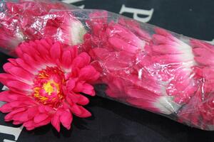 Cyklámenové umelé kvety gerbery 12ks 10cm