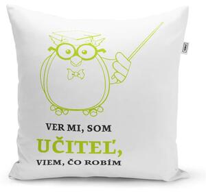 Sablio Vankúš Ver mi, som učiteľ, viem, čo robím: 40x40 cm