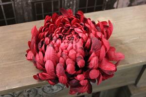 Červená hlava chryzantémy 17cm