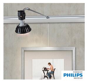 Halogénová lampa Philips 20W