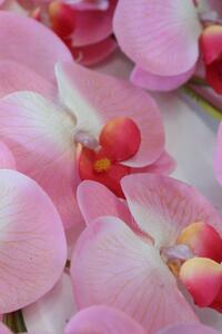 Ružová trojstonková orchidea s listami 90cm