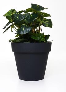 Kvetináč LEVANTA, plast, výška 35 cm, antracit