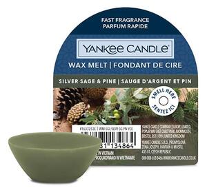 Vosk do aromalampy Yankee Candle 22 g - Silver Sage & Pine