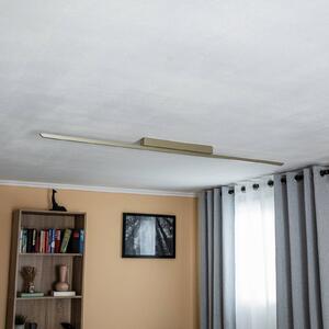 Quitani Niara stropné LED svetlo eloxovaná krémová