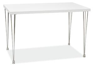 Jedálenský stôl PAU, 73x76x120, biela