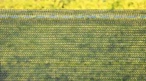 Bradas Tieniaca sieť zelená 1x10m 55% tieňa