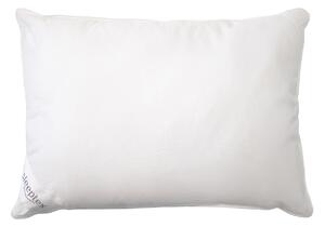 VANKÚŠ POD HLAVU, 70/90 cm Sleeptex - Prikrývky & vankúše