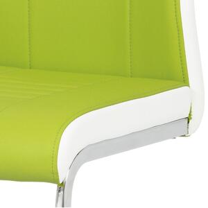 Jedálenská stolička ASHLEY zelenobiela