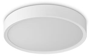 LIVARNO home Stropná LED lampa, okrúhla (biely rám) (100350407)