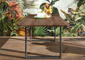 MONTREAL Jedálenský stôl 160x90 cm - kovové nohy, palisander