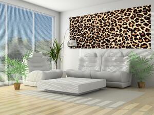Fototapeta panoramatická vliesová Leopard
