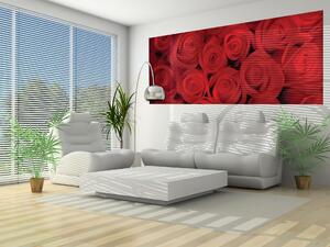 Fototapeta panoramatická vliesová Červené ruže