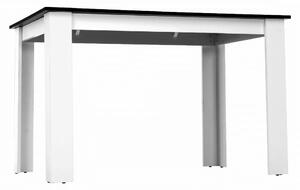 Tempo Kondela Jedálenský stôl, biela/čierna, 120x80, KRAZ