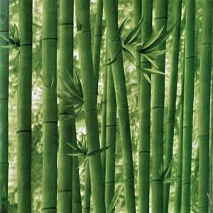 Samolepiace tapety 45 cm x 10 m IMPOL TRADE T51 bambus zelený samolepiace tapety