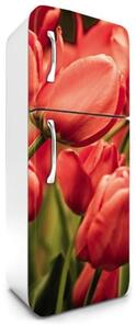 Samolepiace tapety na chladničku, rozmer 180 cm x 65 cm, tulipány, DIMEX FR-180-012