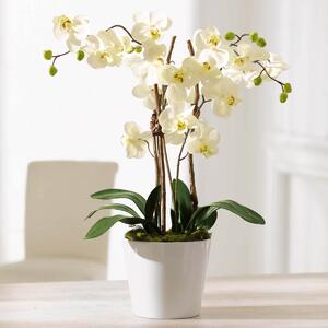 Umelá orchidea Elegance