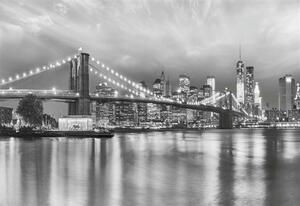 Fototapety, rozmer 368 x 254 cm, Brooklyn Bridge, Sunny Decor SD934