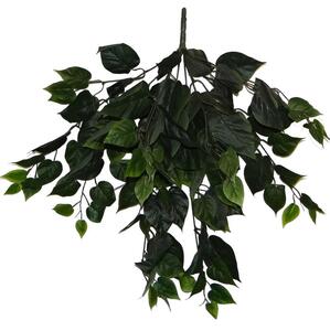 Ťahač Pothos 64cm