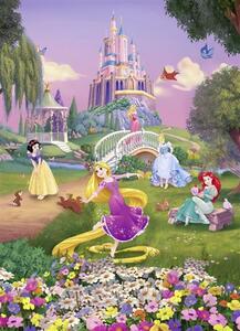 Fototapety Disney Princess , rozmer 184 cm x 254 cm, západ slnka, Komar 4-4026