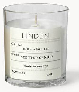 Vonná sviečka Linden (lipový kvet)