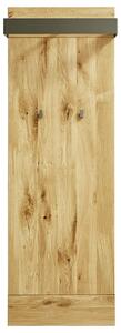 VEŠIAKOVÝ PANEL, antracitová, farby duba, dub, 56/165/32 cm Waldwelt - Vešiakové steny