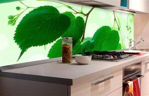 Samolepiace tapety za kuchynskú linku, rozmer 180 cm x 60 cm, zelené listy, DIMEX KI-180-010