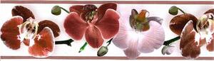 Samolepiaca bordúra B 83-07-03, rozmer 5 m x 8,3 cm, kvety orchidey červené, IMPOL TRADE