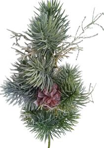Vetvička srienistá borovica, 46 cm