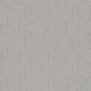 Vliesvé tapety IMPOL Carat 2 10062-02, rozmer 10,05 m x 0,53 m, geometrický vzor strieborný s hnedými kontúrami, ERISMANN