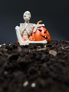 Sinsay - Halloweenska LED dekorácia v tvare kostlivca a tekvice - biela