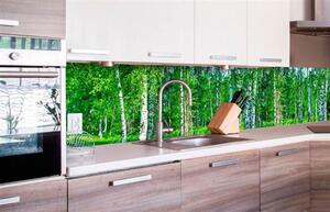 Samolepiace tapety za kuchynskú linku, rozmer 260 cm x 60 cm, brezový les, DIMEX KI-260-044