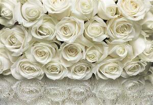 Fototapety, rozmer 368 x 254 cm, ruže biele, SUNNY DEKOR SD314