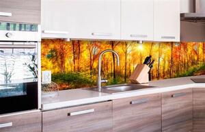 Samolepiace tapety za kuchynskú linku, rozmer 260 cm x 60 cm, slnečný les, DIMEX KI-260-084