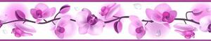 Samolepiaca bordúra D58-030-4, rozmer 5 m x 5,8 cm, kvety orchideí fialové, IMPOL TRADE