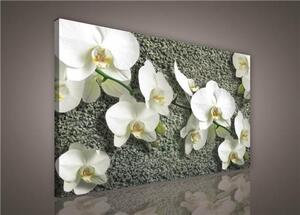Obraz na plátne, rozmer 75 x 100 cm, biela orchidea na kameni, IMPOL TRADE PP413O1
