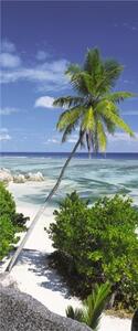 Vliesové fototapety, rozmer 92 cm x 220 cm, palma na pláži, Sunny Decor SD1096