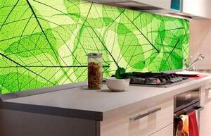 Samolepiace tapety za kuchynskú linku, rozmer 180 cm x 60 cm, listové žily, DIMEX KI-180-048