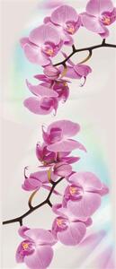 Vliesové fototapety, rozmer 91 x 211 cm, orchidea, IMPOL TRADE 116VE