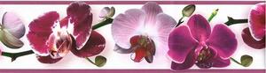 Samolepiaca bordúra B 83-07-02, rozmer 8,3 cm x 5 m, kvety orchideje fialové, IMPOL TRADE