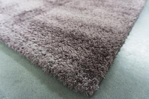 Berfin Dywany Kusový koberec MICROSOFT 8301 Dark lila - 60x100 cm