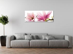Obraz na plátne Ružové magnólie Rozmery: 60 x 40 cm