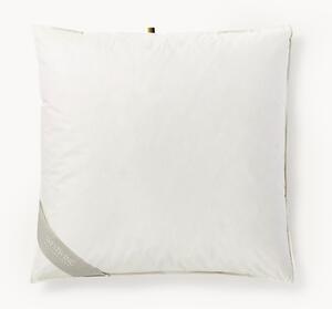 Vankúš z organického páperia a bavlny Comfort, mäkký