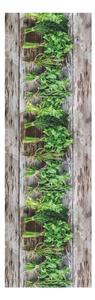 Hnedo-zelený behúň Floorita Aromaticai, 58 × 80 cm