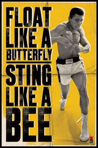 Plagát, Obraz - Muhammad Ali - vznášať sa ako motýľ