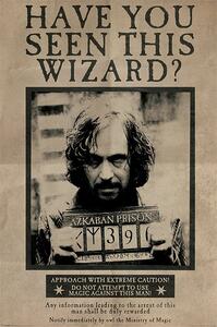 Plagát, Obraz - Harry Potter - Wanted Sirius Black, (61 x 91.5 cm)
