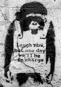 Plagát, Obraz - Banksy street art - chimp, (42 x 59 cm)
