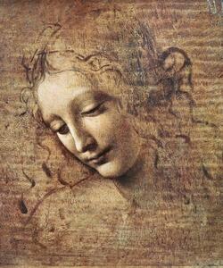 Leonardo da Vinci - Obrazová reprodukcia Leonardo da Vinci - Hlava ženy, (35 x 40 cm)